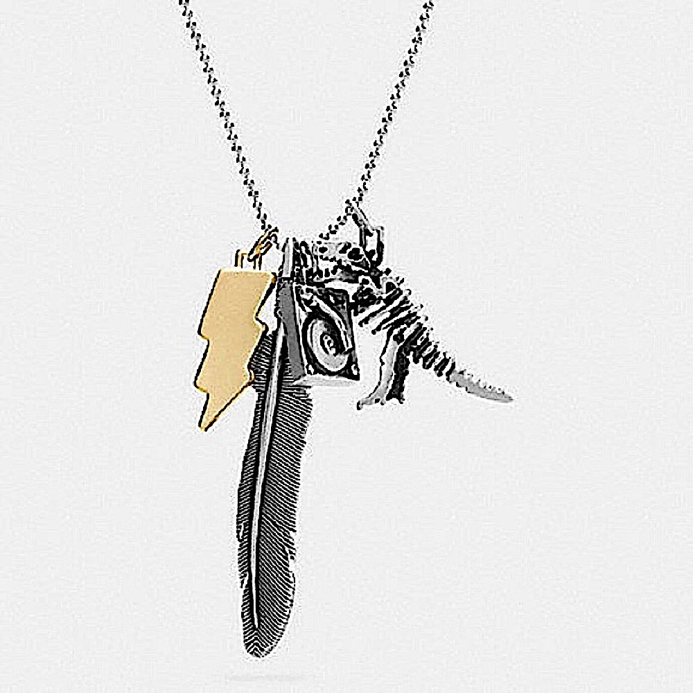 COACH DAY DREAMER CHARM NECKLACE STYLE NO. 90970